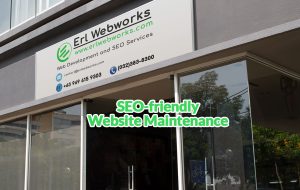 SEO-friendly Website Maintenance